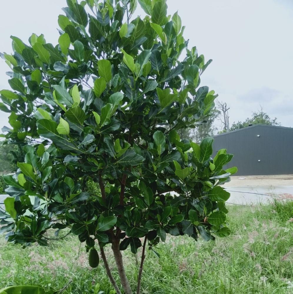 Meet your Posher, Abee